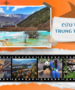 THÀNH ĐÔ - CỬU TRẠI CÂU- ĐÔ GIANG YỂN - TRUNG TÂM GẤU TRÚC