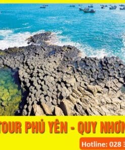 Quy Nhơn- Phú Yên- Hoa Vàng Trên Cỏ Xanh