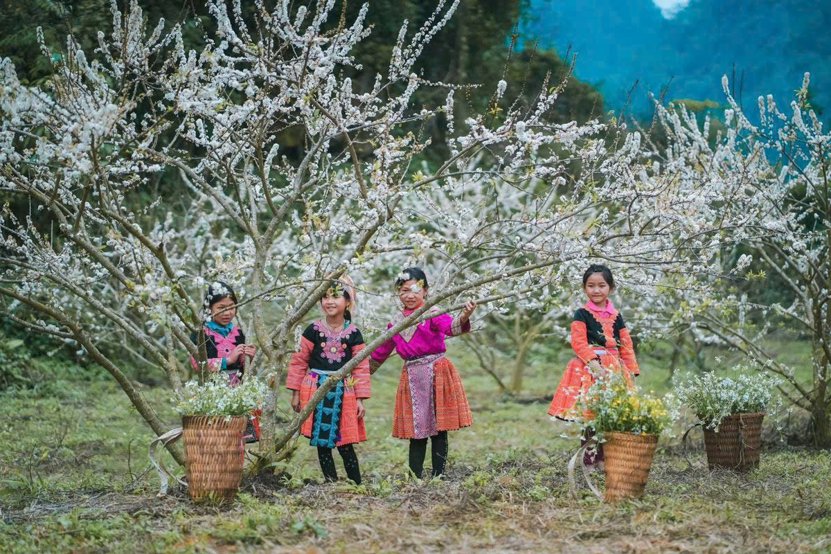 Thung lũng mận Nà Ka