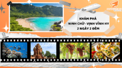 NINH CHỮ - VỊNH VĨNH HY | 2N2Đ VI VU VỊNH NGỌC