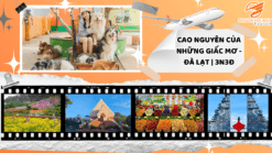 ĐÀ LẠT | 3N3Đ - CAO NGUYÊN CỦA NHỮNG GIẤC MƠ