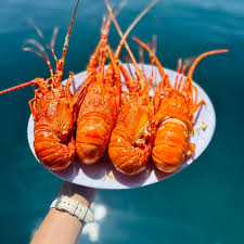 Tôm Hùm Bình Hưng